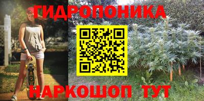 шишки Гусев
