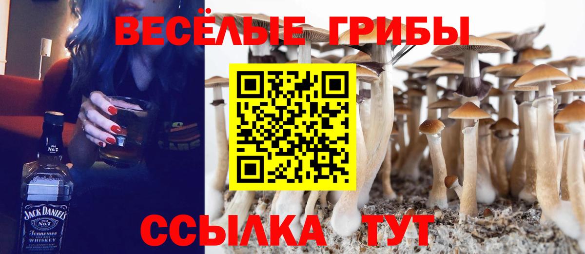 Псилоцибиновые грибы мухоморы Курчатов