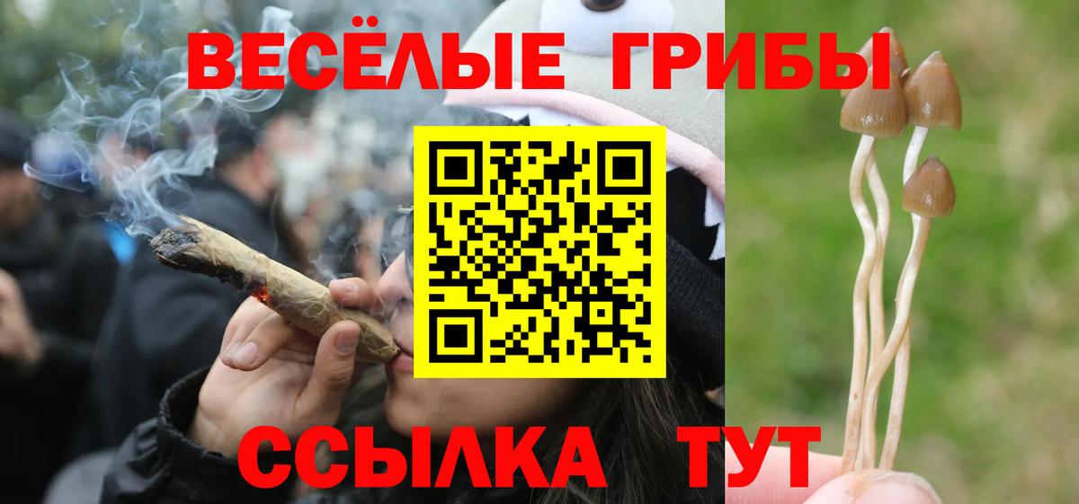 Псилоцибиновые грибы мухоморы  Вход с VPN  Курчатов 